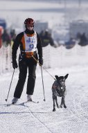Lenk 2013